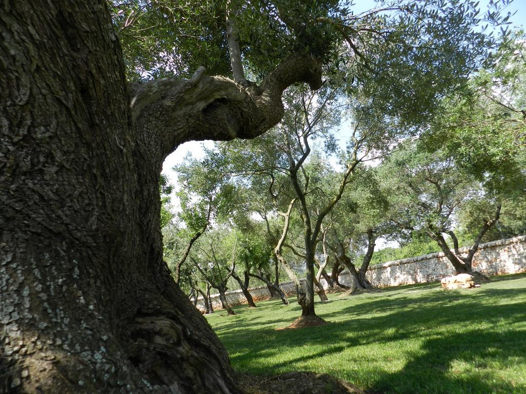 I Trulli Del Nonno Michele Guest House Alberobello Ngoại thất bức ảnh